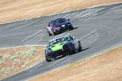 media/May-06-2023-Lucky Dog Racing (Sat) [[8f2256f436]]/Turn 2 10a/